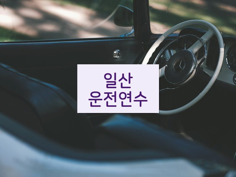 일산운전연수 후기