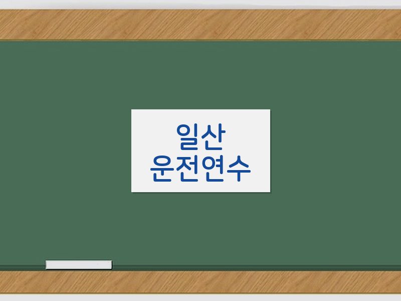 일산운전연수 후기
