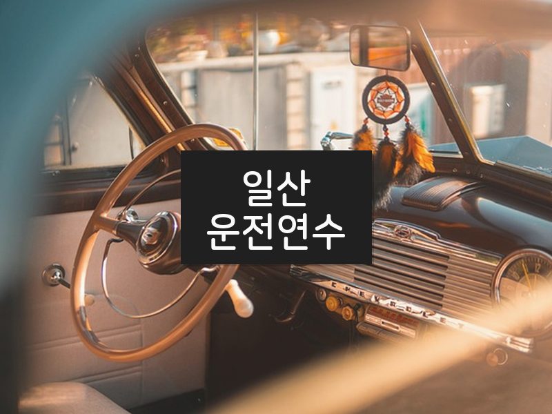 일산운전연수 후기