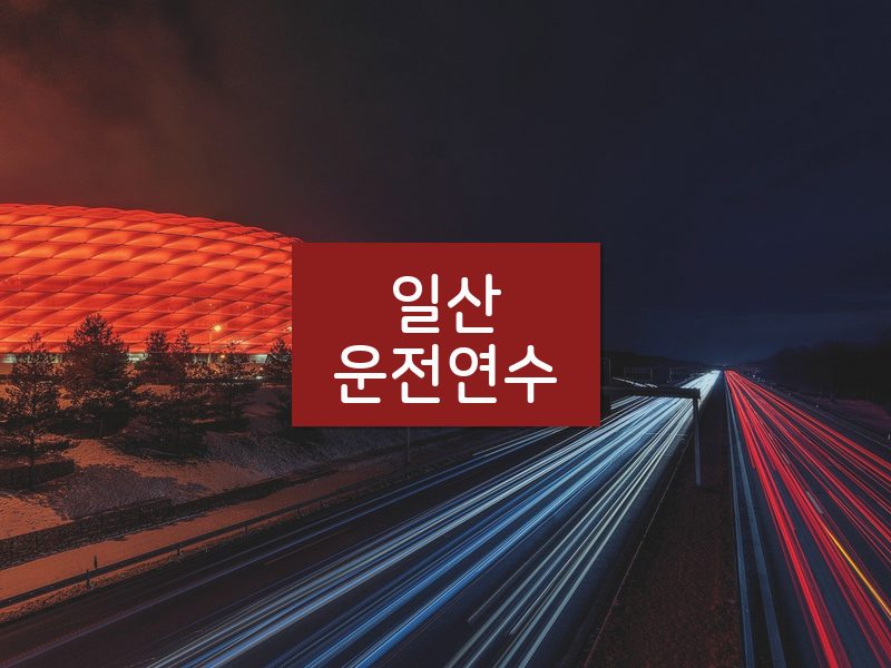 일산운전연수 후기