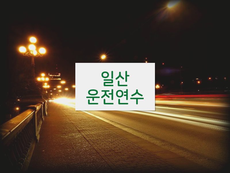 일산운전연수 후기