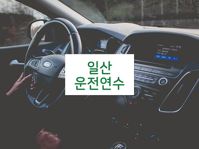 일산운전연수 후기