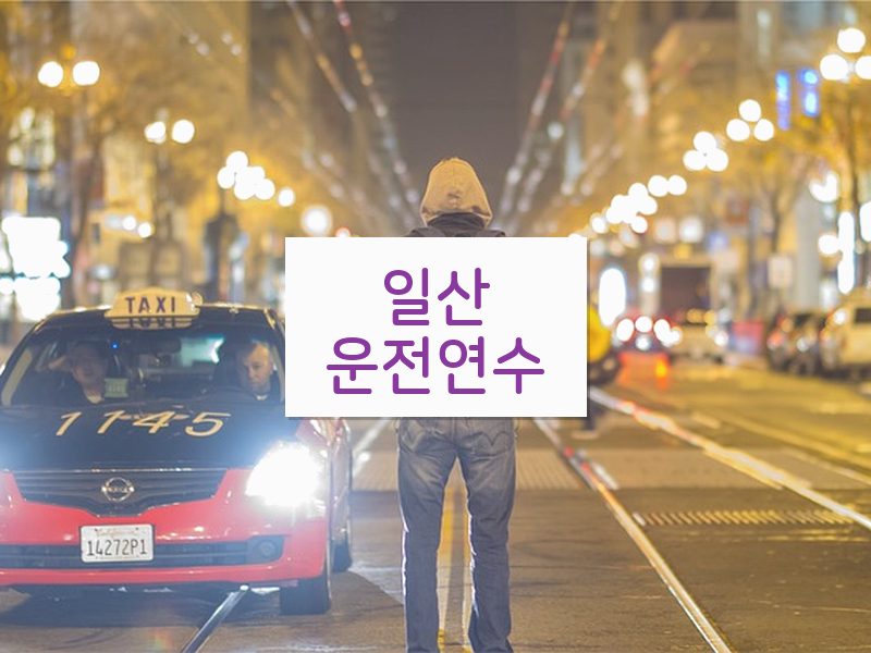 일산운전연수 후기