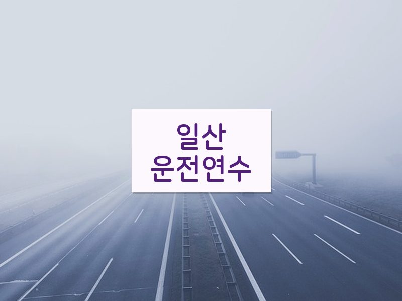 일산운전연수 후기