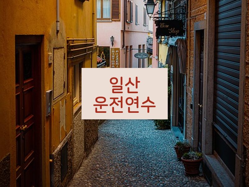 일산운전연수 후기