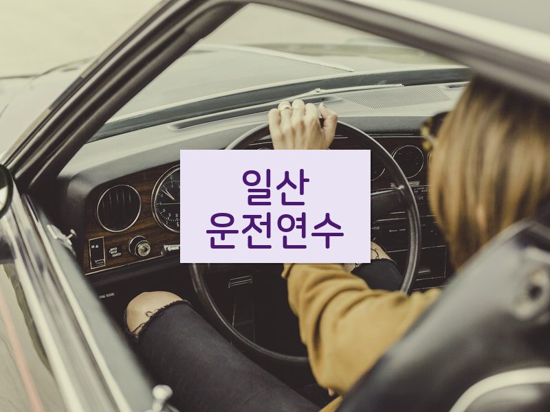 일산운전연수 후기