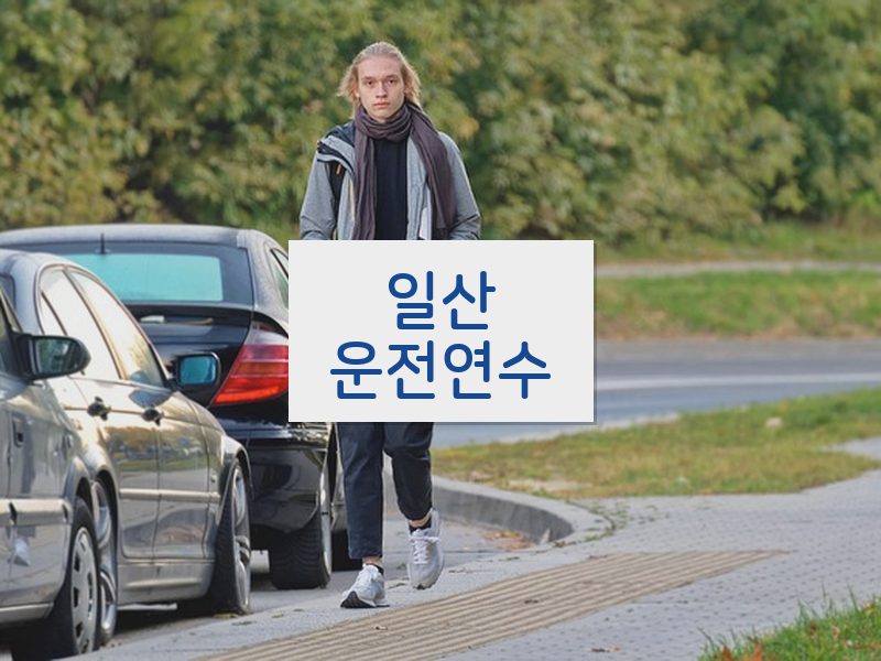 일산운전연수 후기