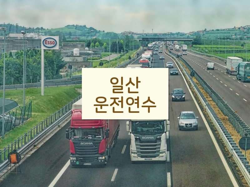 일산운전연수 후기