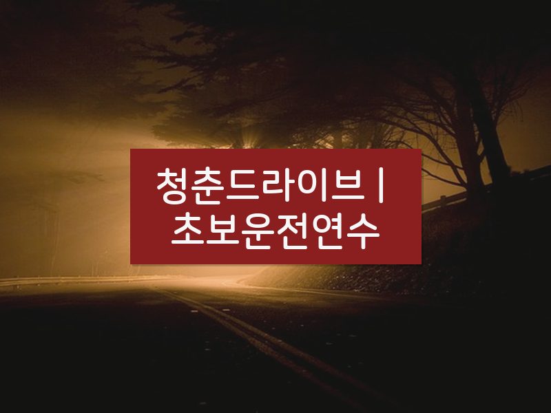 청춘드라이브 | 초보운전연수 후기