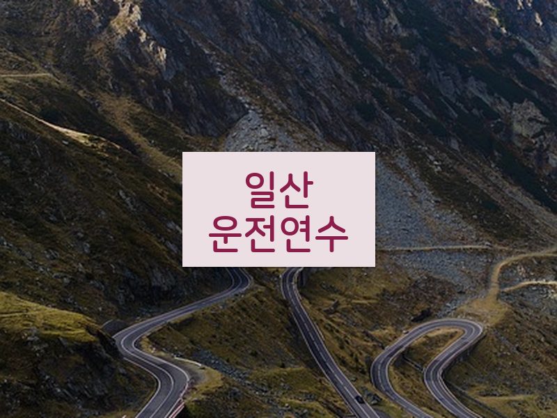 일산운전연수 후기