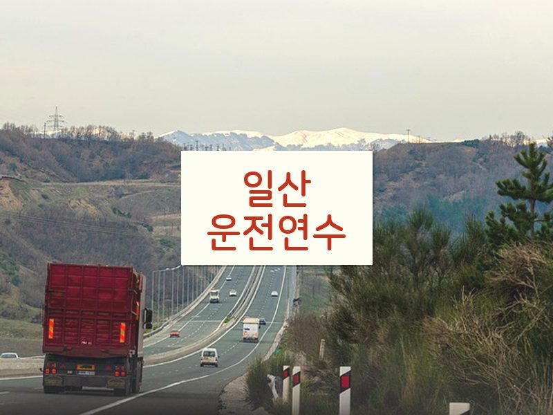 일산운전연수 후기