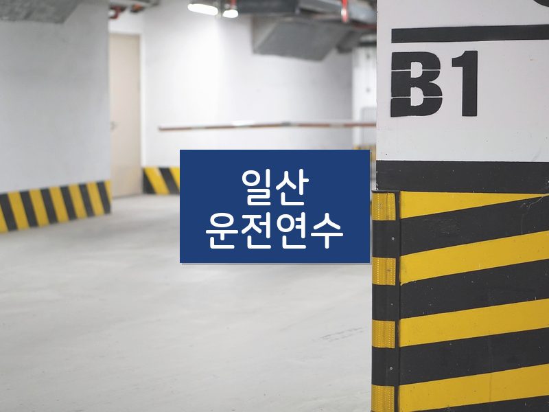 일산운전연수 후기