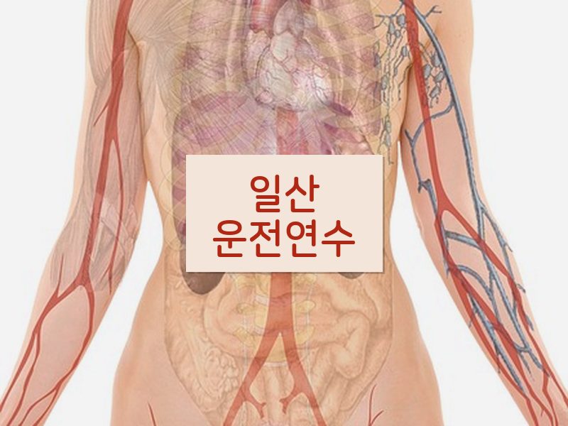 일산운전연수 후기
