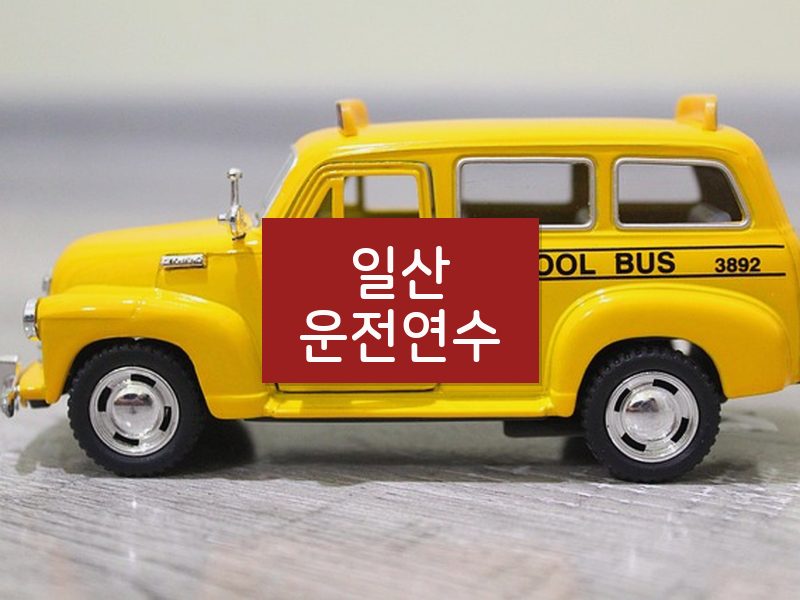 일산운전연수 후기