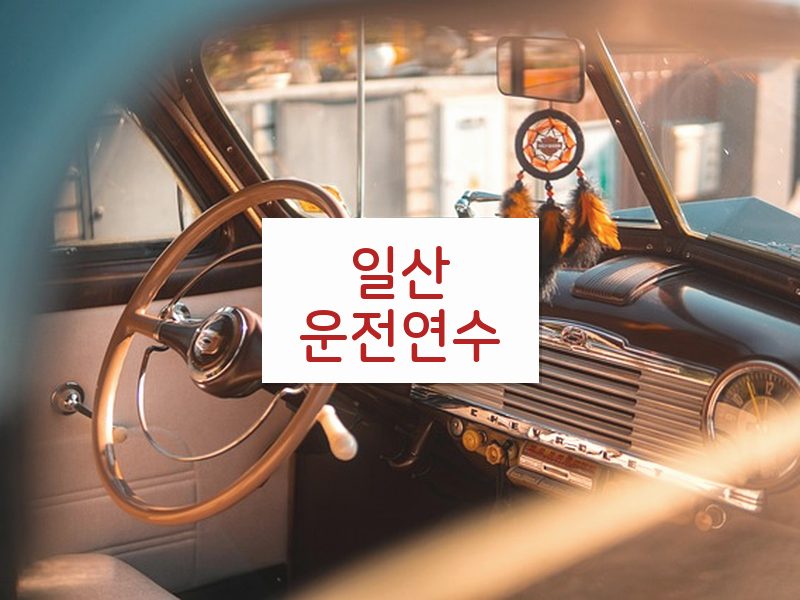 일산운전연수 후기