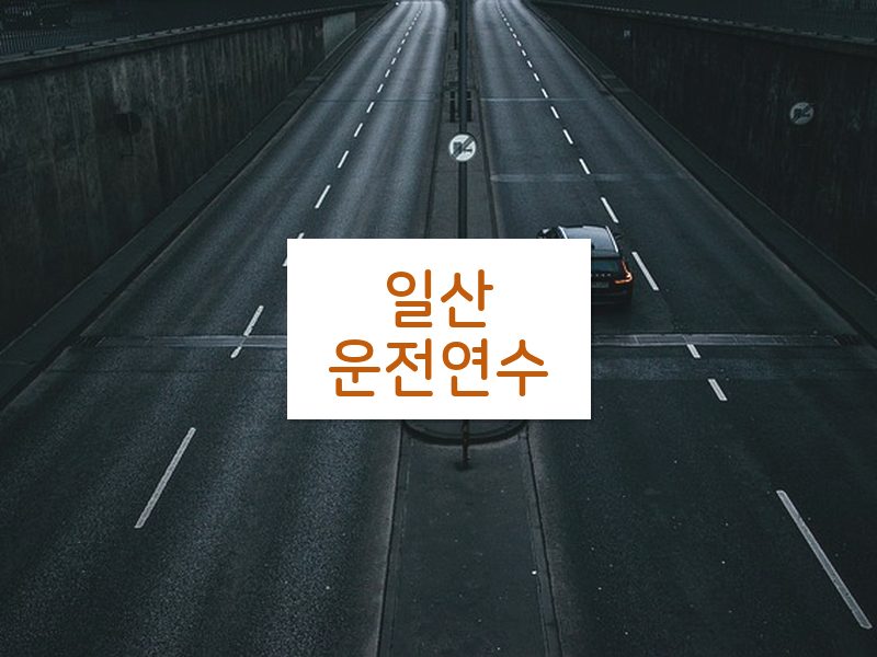 일산운전연수 후기