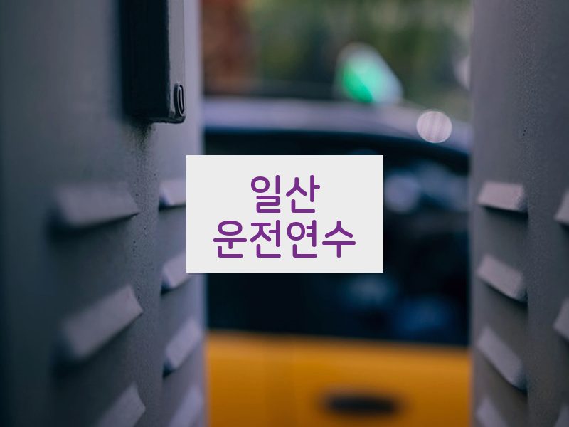 일산운전연수 후기