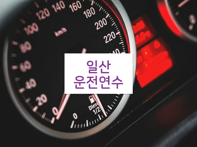 일산운전연수 후기