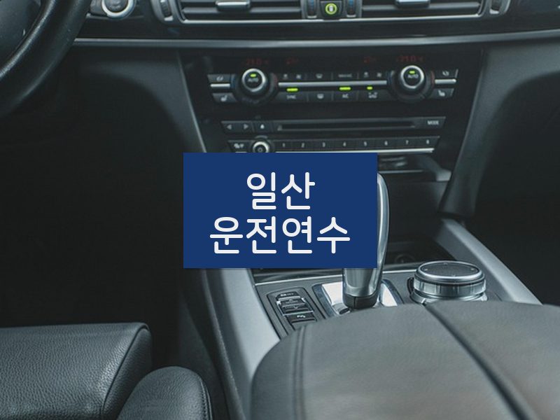 일산운전연수 후기