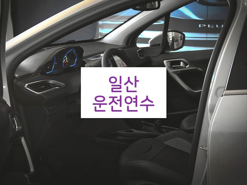 일산운전연수 후기