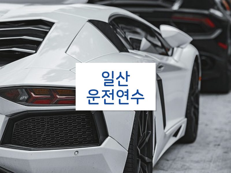 일산운전연수 후기