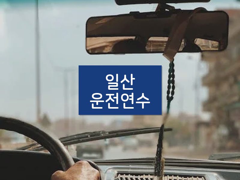 일산운전연수 후기