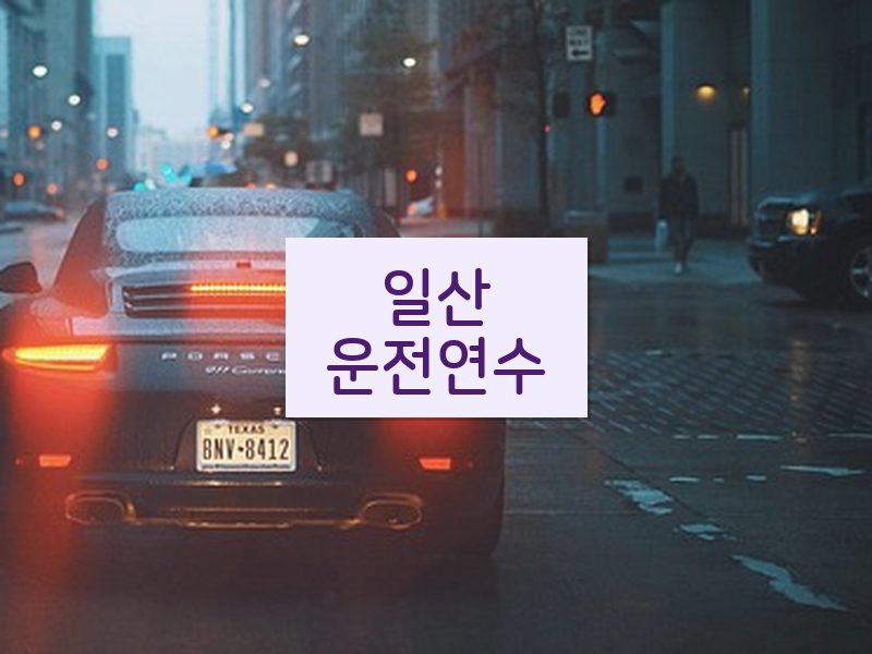 일산운전연수 후기