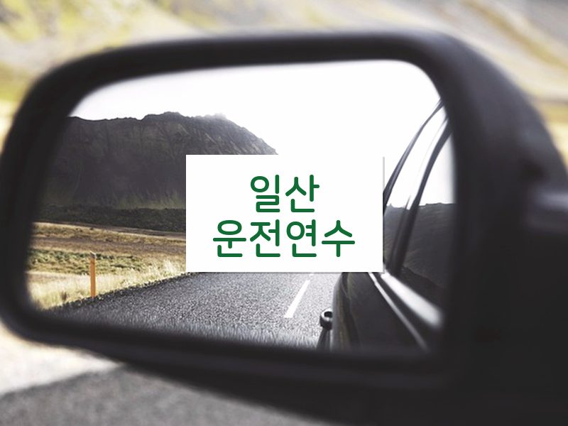 일산운전연수 후기