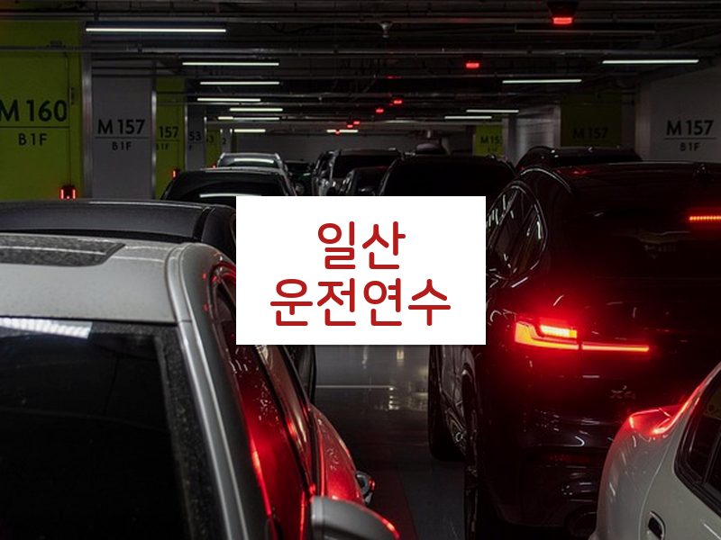 일산운전연수 후기