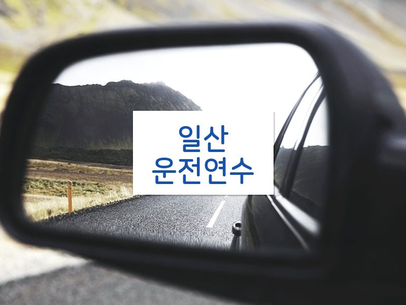 일산운전연수 후기