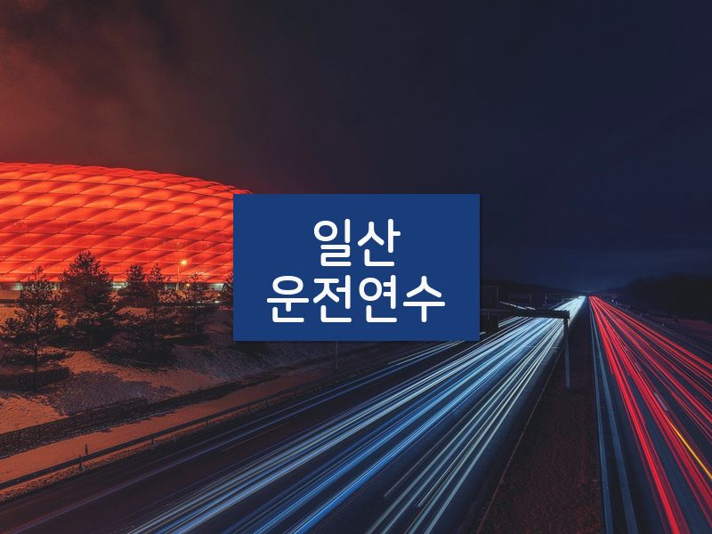 일산운전연수 후기