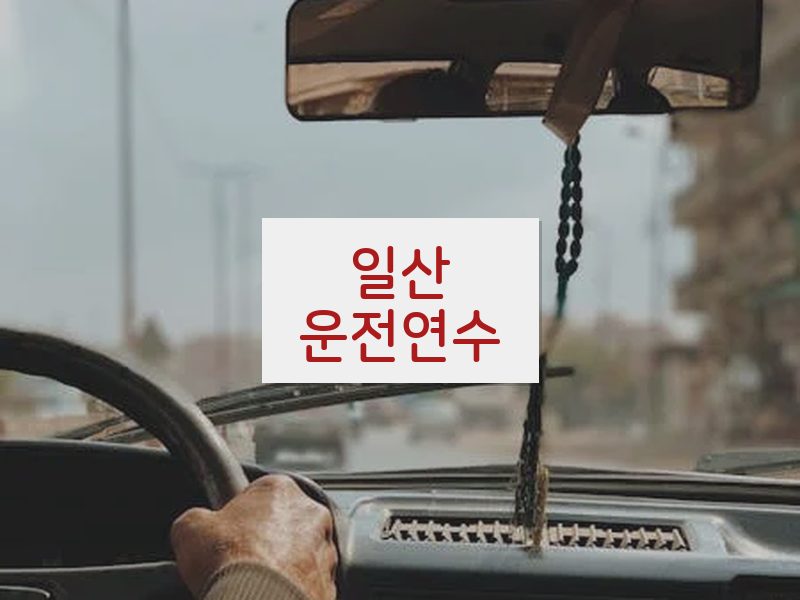 일산운전연수 후기
