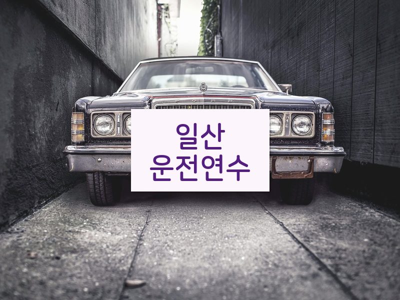 일산운전연수 후기