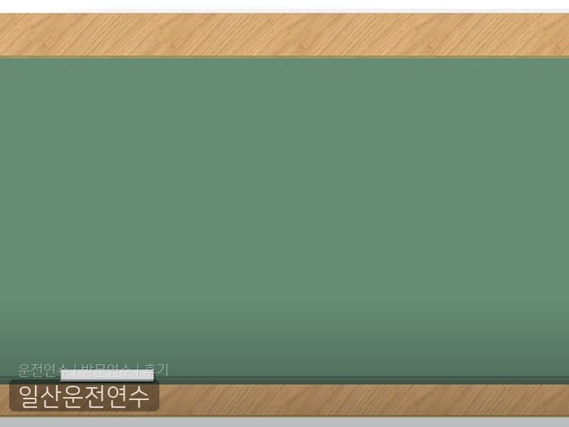 일산운전연수 후기