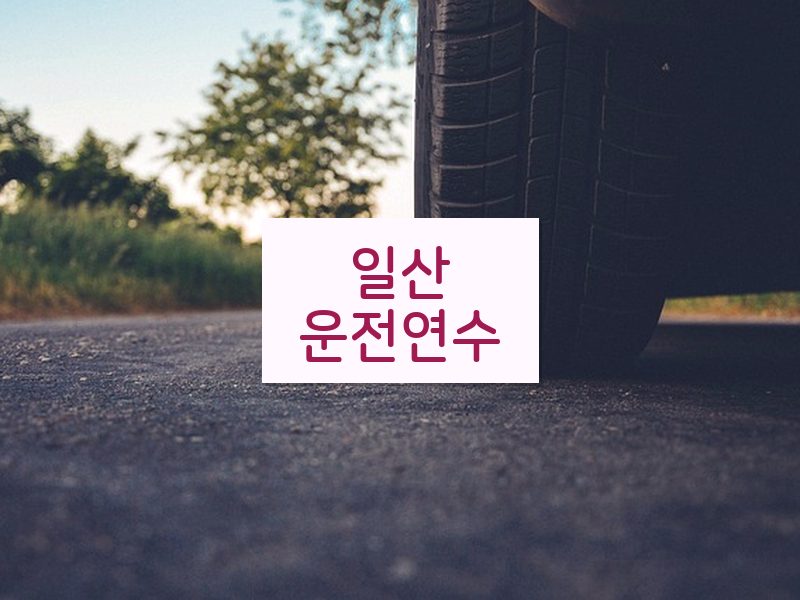 일산운전연수 후기