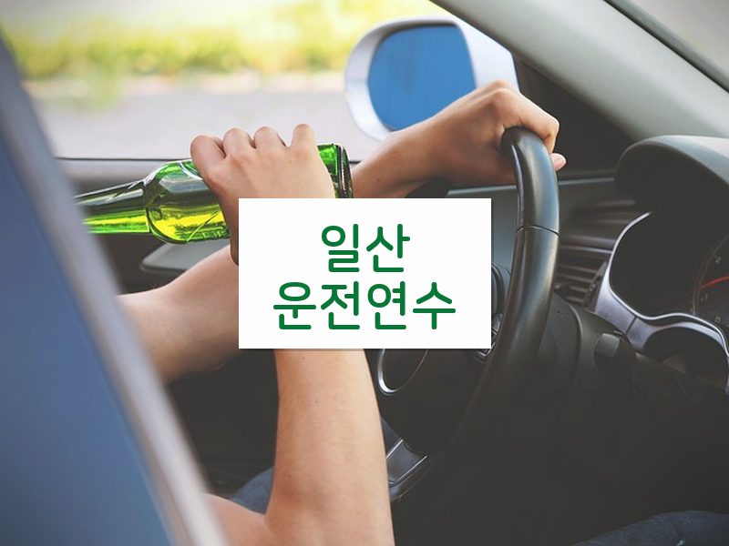 일산운전연수 후기