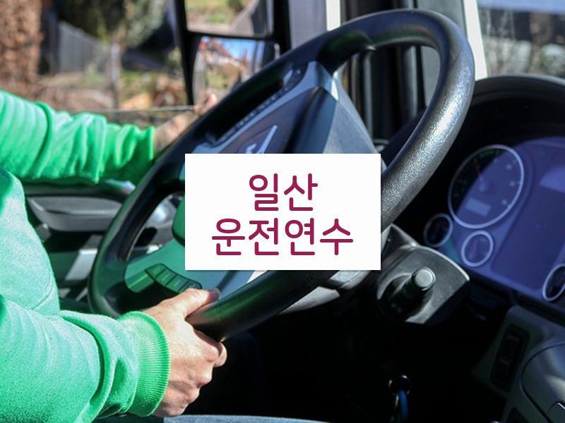 일산운전연수 후기