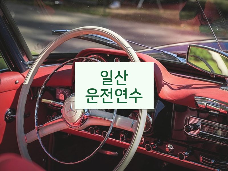 일산운전연수 후기