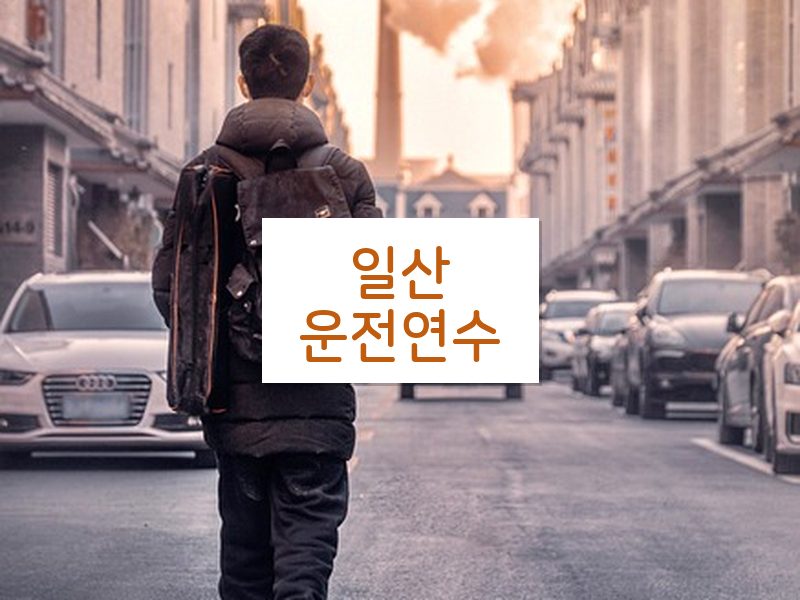 일산운전연수 후기