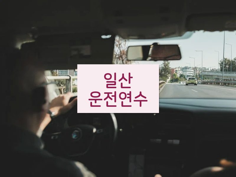 일산운전연수 후기