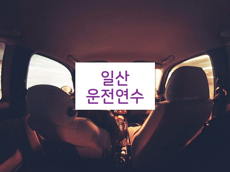 일산운전연수 후기