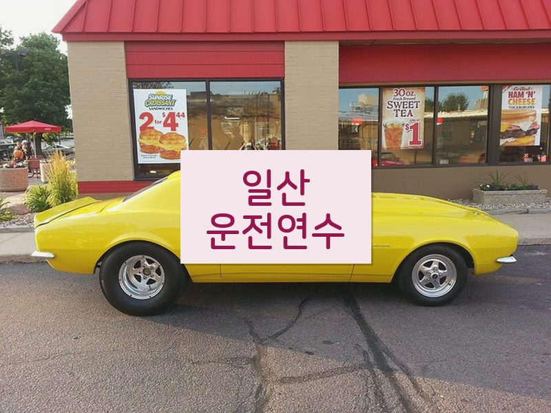 일산운전연수 후기