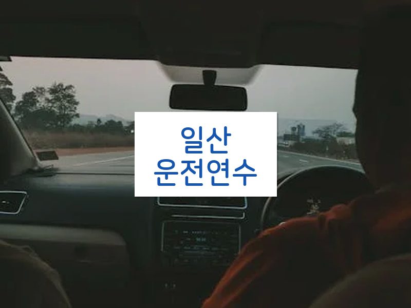 일산운전연수 후기