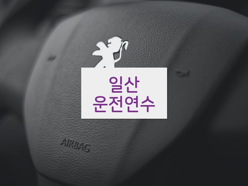 일산운전연수 후기