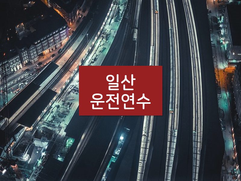 일산운전연수 후기
