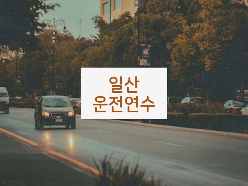 일산운전연수 후기