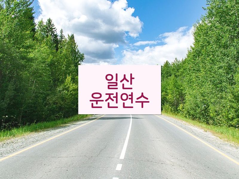 일산운전연수 후기