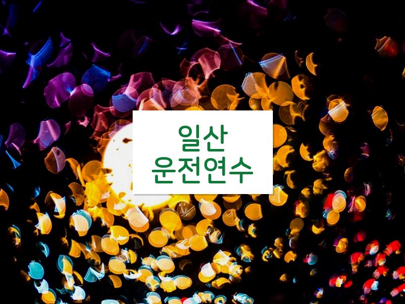 일산운전연수 후기