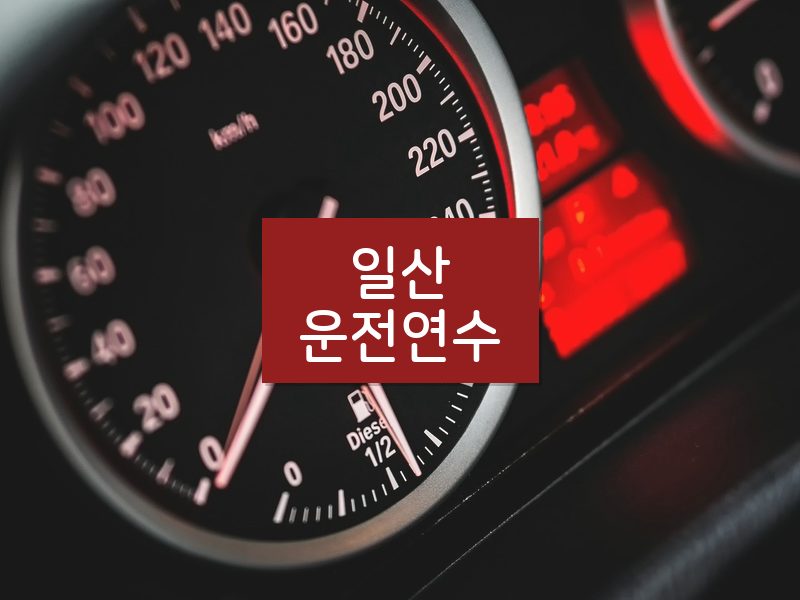 일산운전연수 후기