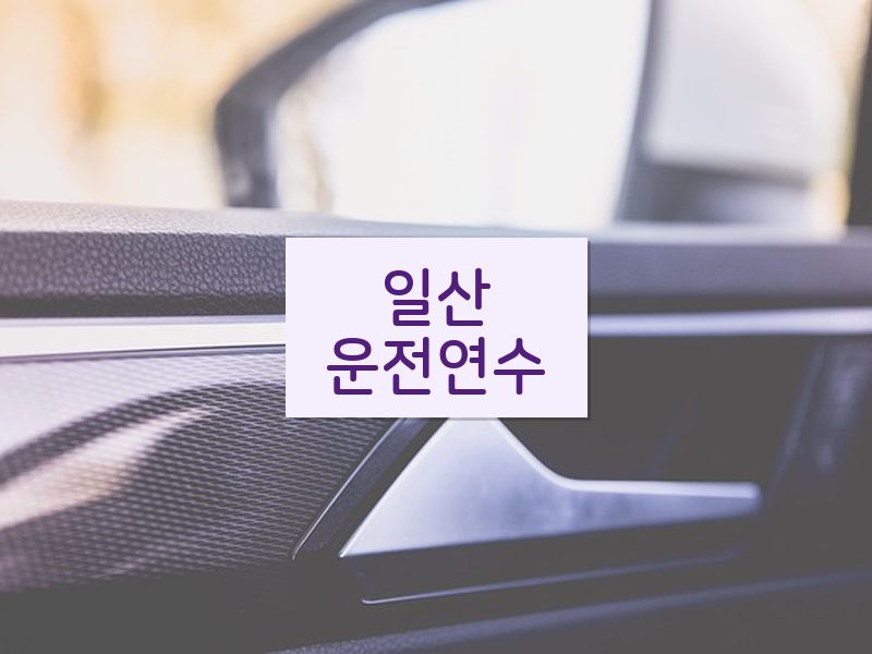 일산운전연수 후기